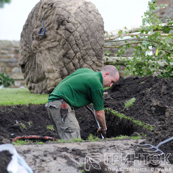 Подготовка ямы для посадки деревьев
