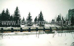 Кустарники и деревья на заказ из европейских и российских питомников